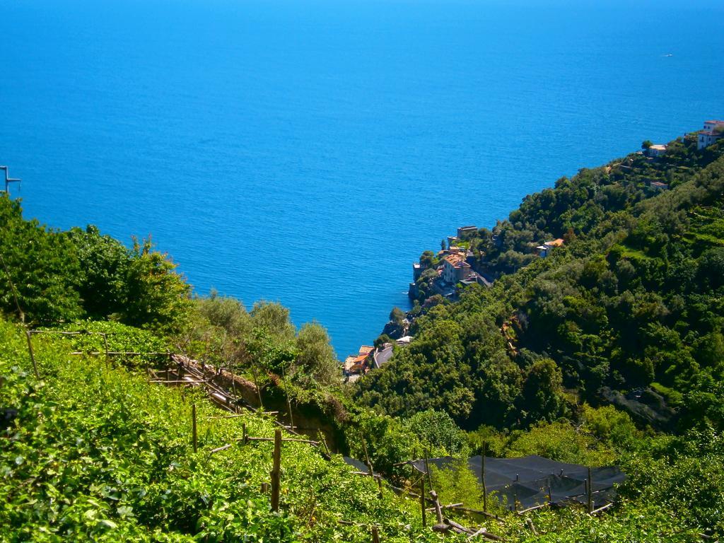 Villa En Rose Ravello Cameră foto